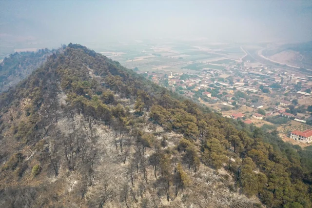 Sakarya'dan Bilecik'e Ulaşan Orman Yangını Savaş Veriyor