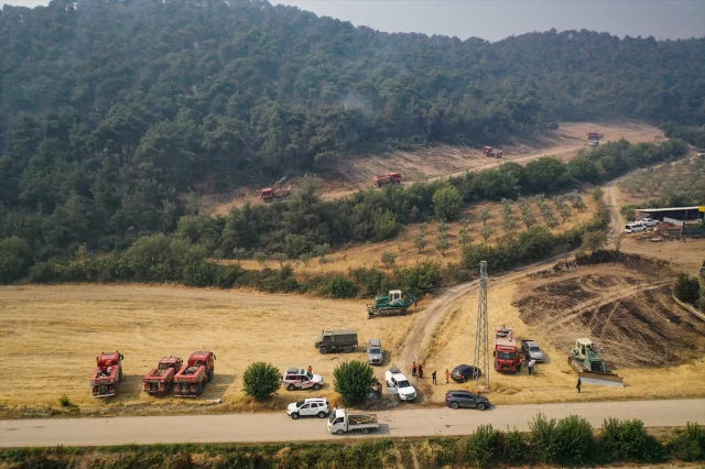 Sakarya'dan Bilecik'e Ulaşan Orman Yangını Savaş Veriyor