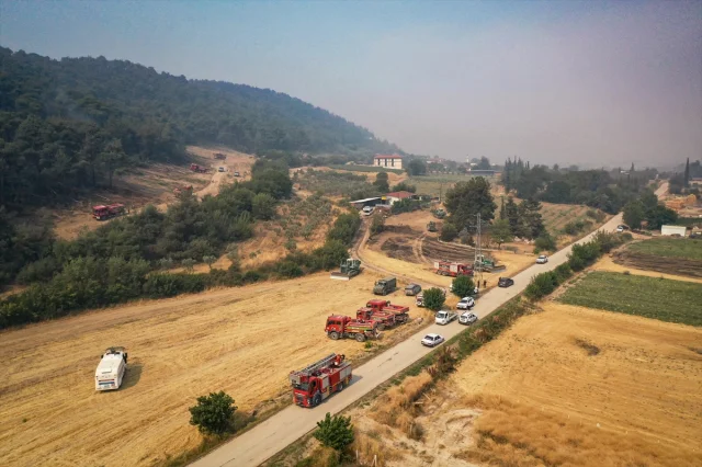 Sakarya'dan Bilecik'e Ulaşan Orman Yangını Savaş Veriyor