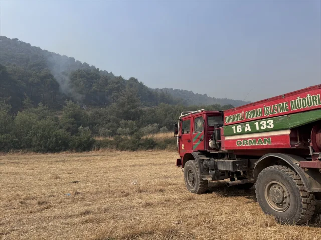 Sakarya'dan Bilecik'e Ulaşan Orman Yangını Savaş Veriyor