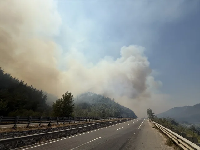 Bilecik'teki Orman Yangını 4. Gününde Kontrol Altında