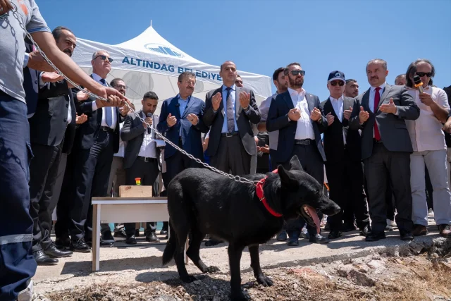 Altındağ'da Sokak Hayvanları İçin Dev Proje Başlıyor