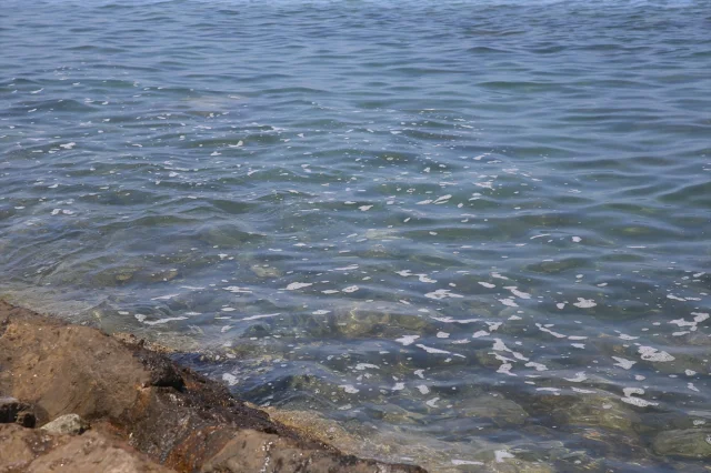 Hatay Arsuz Sahilinde Görülen Köpüklenmeye Bilimsel Açıklama