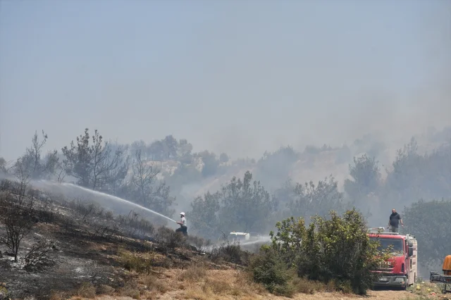 Bilecik'teki Orman Yangını 4. Gününde Kontrol Altında