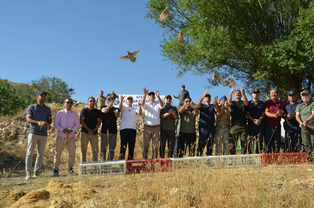 Kahramanmaraş'ta Yaban Hayatını Destekleme Çalışmaları Sürüyor