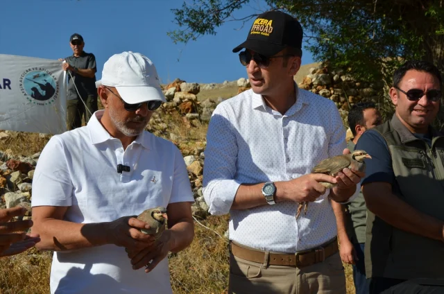 Kahramanmaraş'ta Yaban Hayatını Destekleme Çalışmaları Sürüyor