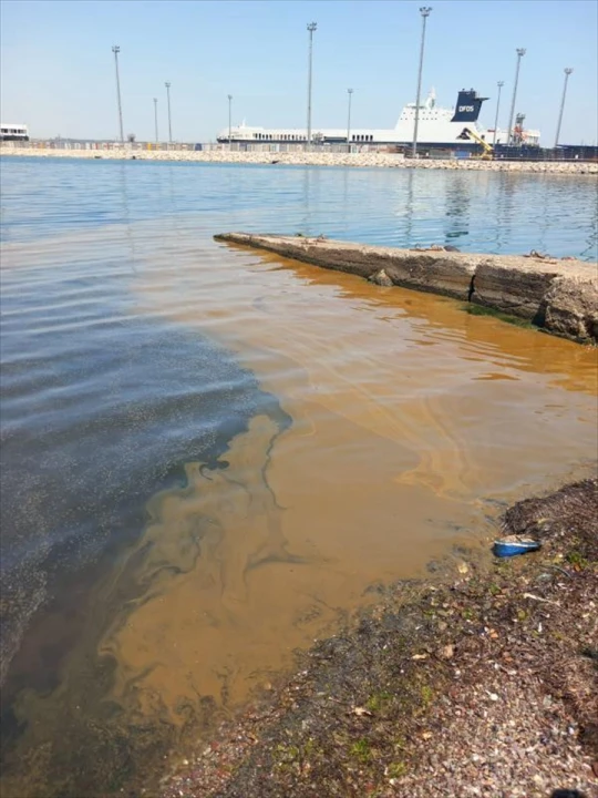 Marmara Denizi'nde Atık Yağ Skandalı Yalova'da Kirlilik İncelemesi Başladı