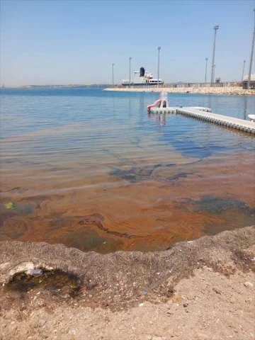 Marmara Denizi'nde Atık Yağ Skandalı Yalova'da Kirlilik İncelemesi Başladı