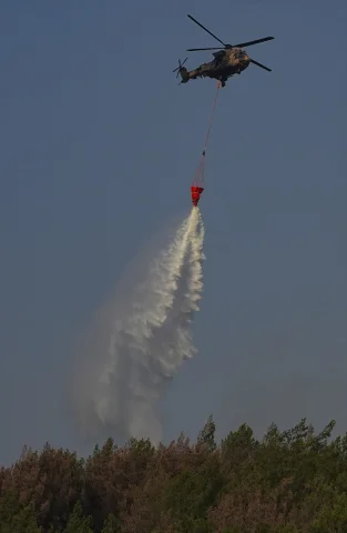 İzmir'deki Orman Yangını Başarıyla Kontrol Altına Alındı