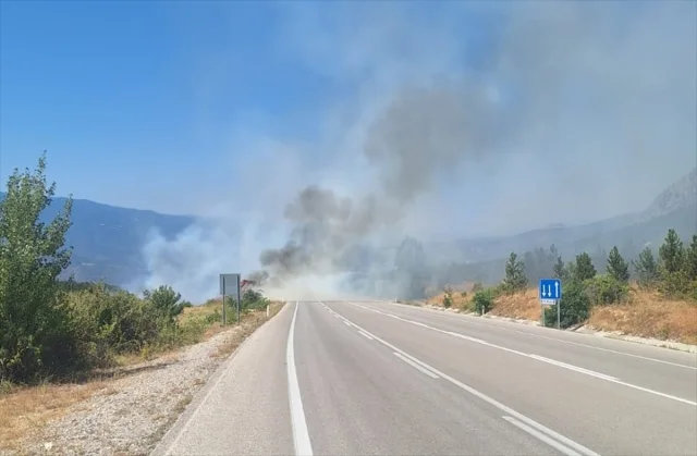 Çorum Orman Yangını Ekiplerin Hızlı Müdahalesiyle Kontrol Al...