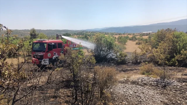 Çorum Orman Yangını Ekiplerin Hızlı Müdahalesiyle Kontrol Altına Alındı
