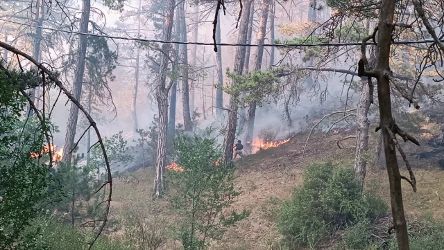 Mudurnu'daki Orman Yangını Söndürülmek İçin Hummalı Çalışmay...