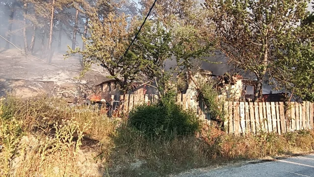 Mudurnu'daki Orman Yangını Söndürülmek İçin Hummalı Çalışmayla Karşı Karşıya