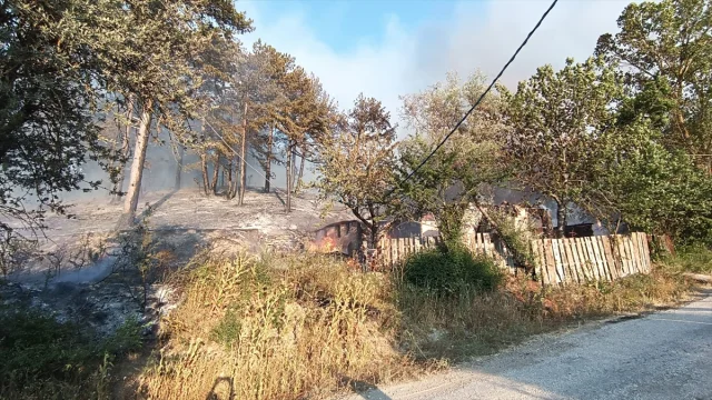 Mudurnu'daki Orman Yangını Söndürülmek İçin Hummalı Çalışmayla Karşı Karşıya