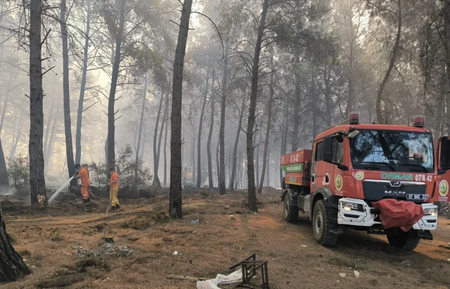 Antalya'nın Orman Yangınlarıyla Mücadelesi Devam Ediyor