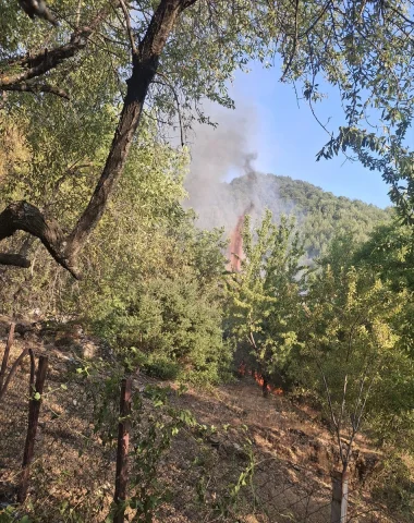 Mersin'deki Orman Yangını Tehlikeli Anlar Yaşattı Ancak Kontrol Altına Alındı