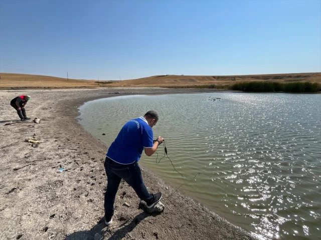 Tekirdağ'da Balık Ölümleri ve Su Sorunu Artıyor