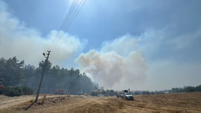 Antalya'nın Orman Yangınlarıyla Mücadelesi Devam Ediyor