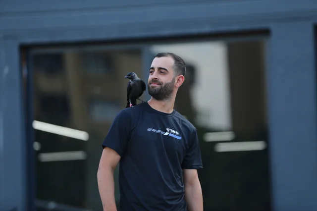 Bingöllü Teknisyenin Şaşırtıcı Karga Dostluğu Görenleri Büyülüyor