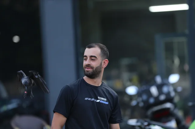 Bingöllü Teknisyenin Şaşırtıcı Karga Dostluğu Görenleri Büyülüyor