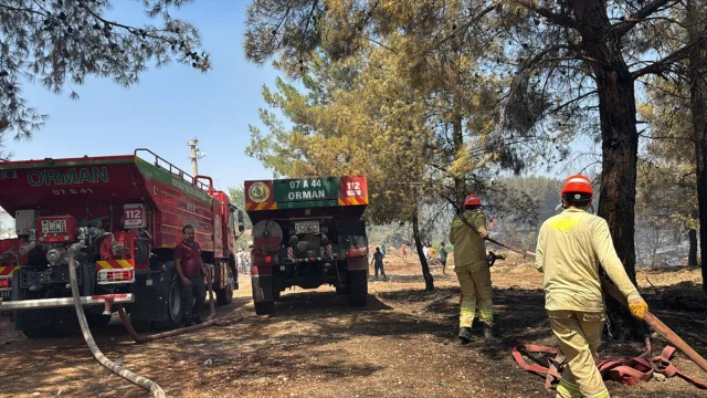 Antalya'nın Orman Yangınlarıyla Mücadelesi Devam Ediyor