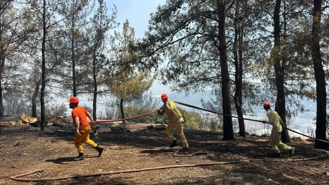 Antalya'nın Orman Yangınlarıyla Mücadelesi Devam Ediyor
