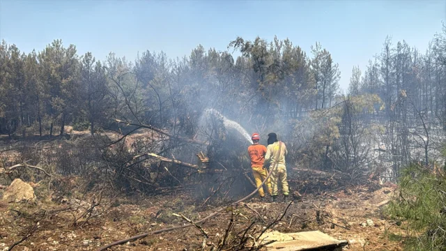 Antalya'nın Orman Yangınlarıyla Mücadelesi Devam Ediyor
