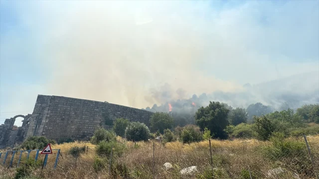 Antalya'nın Orman Yangınlarıyla Mücadelesi Devam Ediyor