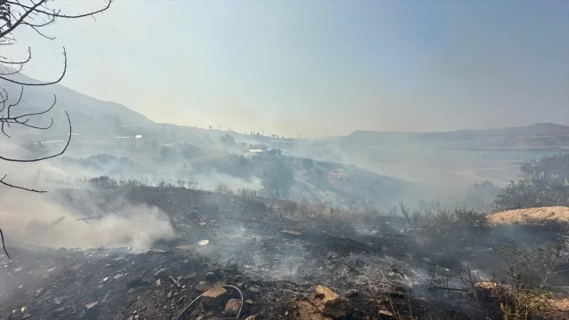 Antalya Orman Yangınları: Mücadele Sürüyor