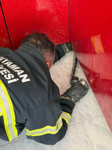 Adıyaman'da Ev Mutfağına Giren Yılan Paniği