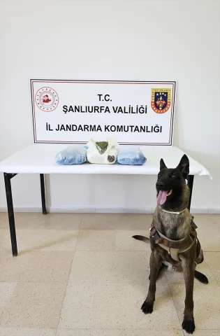 Şanlıurfa'da Başarıyla Gerçekleştirilen Uyuşturucu Operasyonu