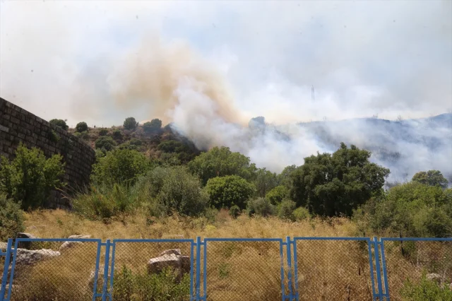 Antalya'nın Orman Yangınlarıyla Mücadelesi Devam Ediyor