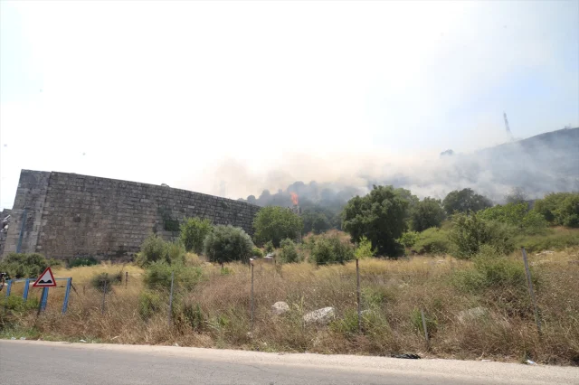 Antalya'nın Orman Yangınlarıyla Mücadelesi Devam Ediyor
