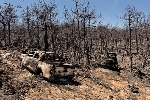Afyonkarahisar'da Orman Yangını Sonrası Büyük Tahribat