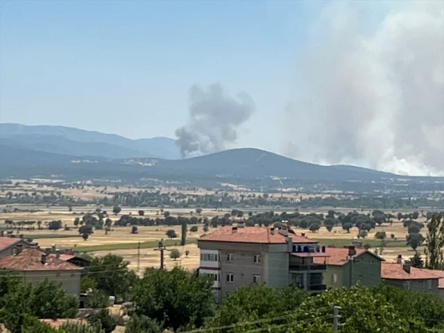 Uşak'ta Meşelik Alanda Çıkan Yangın Kontrol Altına Alınmaya Çalışılıyor