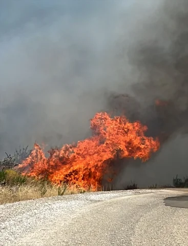 Denizli'de Orman Yangını Tehlikesi Büyümeden Kontrol Altına...