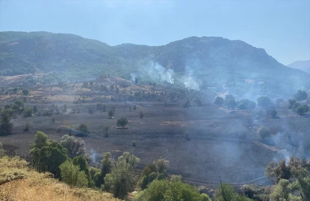 Tunceli'de Orman Yangını Kontrol Altında: Ekiplerin Başarılı...