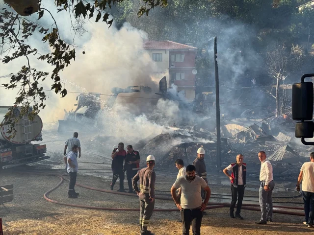 Bartın'da Korkutan Yangın: Köyde 2 Ev ve 2 Samanlık Alevlere Teslim