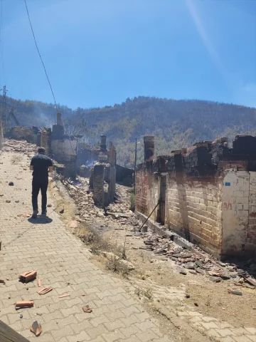 Orman Yangınlarının Yarattığı Tahribatın Detayları