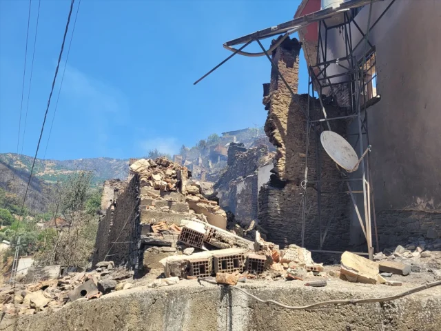 Orman Yangınlarının Yarattığı Tahribatın Detayları