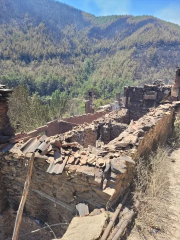 Orman Yangınlarının Yarattığı Tahribatın Detayları