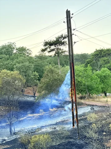 Manisa'nın Akhisar İlçesinde Orman Yangını Kontrol Altına Al...