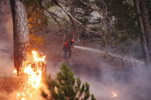 Antalya'nın Beş İlçesinde Devam Eden Orman Yangınları: Mücad...