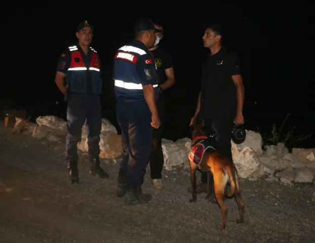Antalya'nın Beş İlçesinde Devam Eden Orman Yangınları: Mücadele Hız Kesmeden Sürüyor