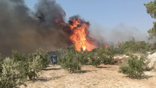Silifke'de Orman Yangınıyla Mücadele: Ekipler Zamana Karşı Y...