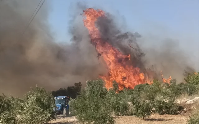 Silifke'de Orman Yangınıyla Mücadele: Ekipler Zamana Karşı Yarışıyor