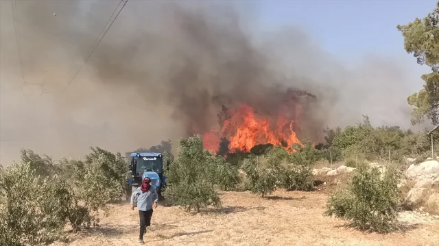 Silifke'de Orman Yangınıyla Mücadele: Ekipler Zamana Karşı Yarışıyor