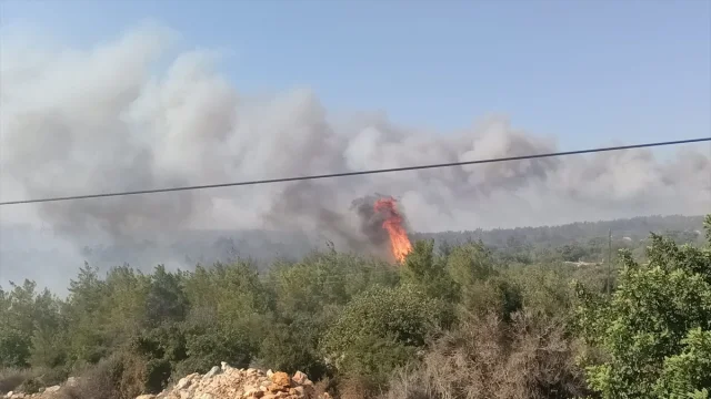 Silifke'de Orman Yangınıyla Mücadele: Ekipler Zamana Karşı Yarışıyor