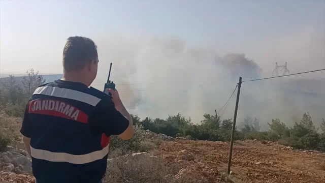 Silifke'de Orman Yangınıyla Mücadele: Ekipler Zamana Karşı Yarışıyor