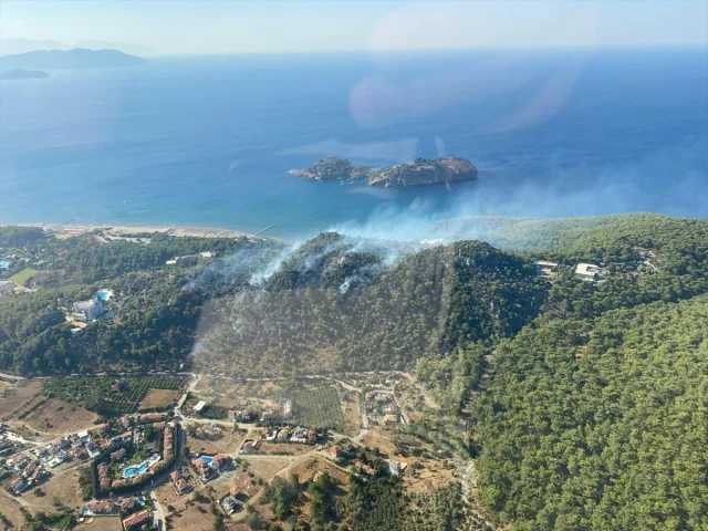 Muğla Ormanlarında Yangın: Ekipler Hızla Müdahale Ediyor